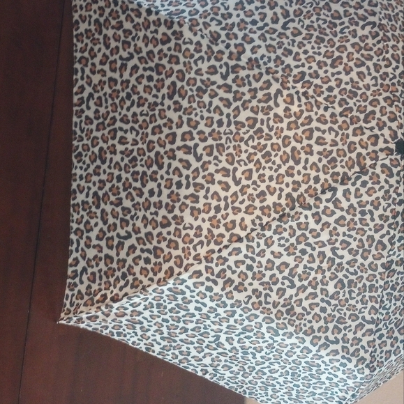 Umbrella - Picture 3 of 6